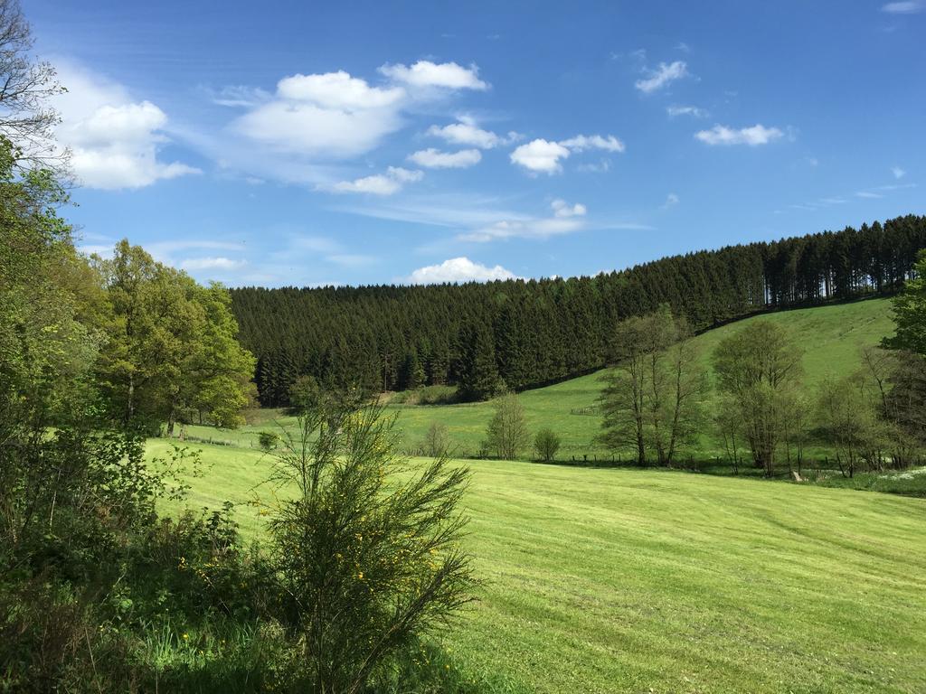 Holiday Apartment Oberveischede Ruang foto